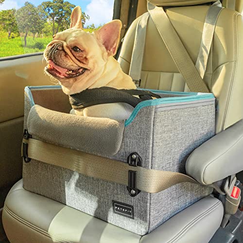 Best Dog Car Seat